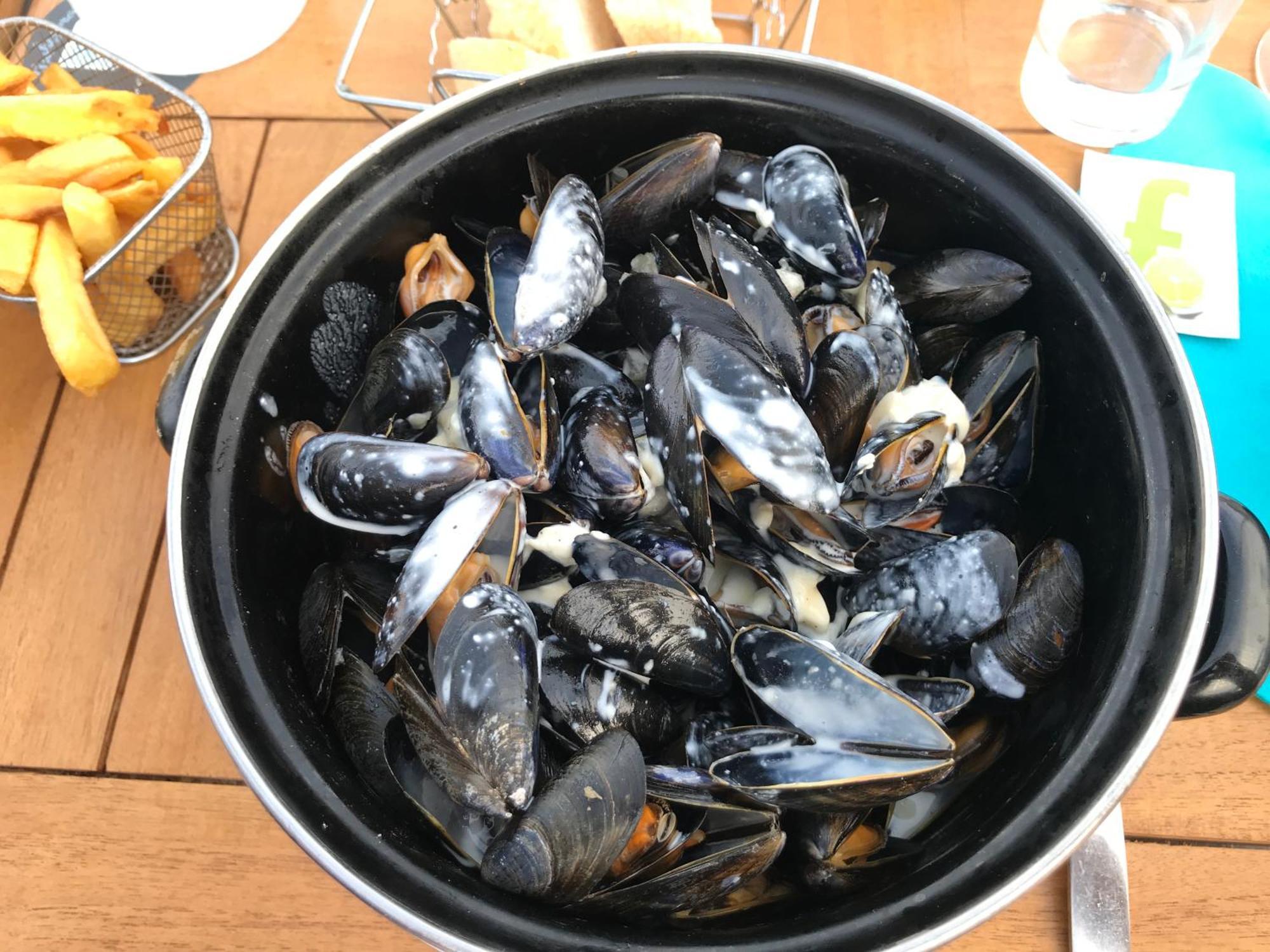 Bleu Sale - F2 Courseulles Avec Balcon Lejlighed Eksteriør billede